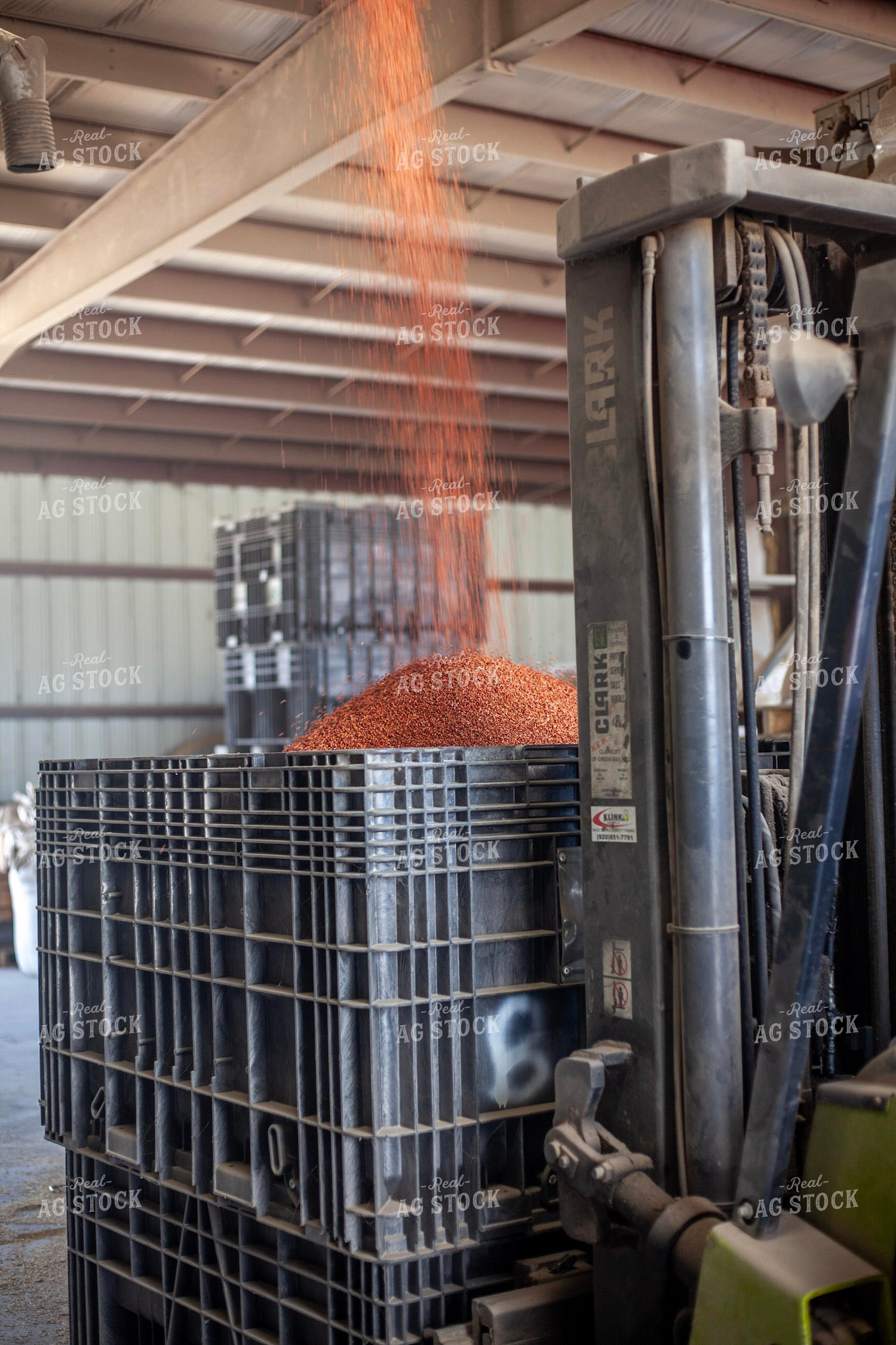 Treating Wheat Seeds 132090