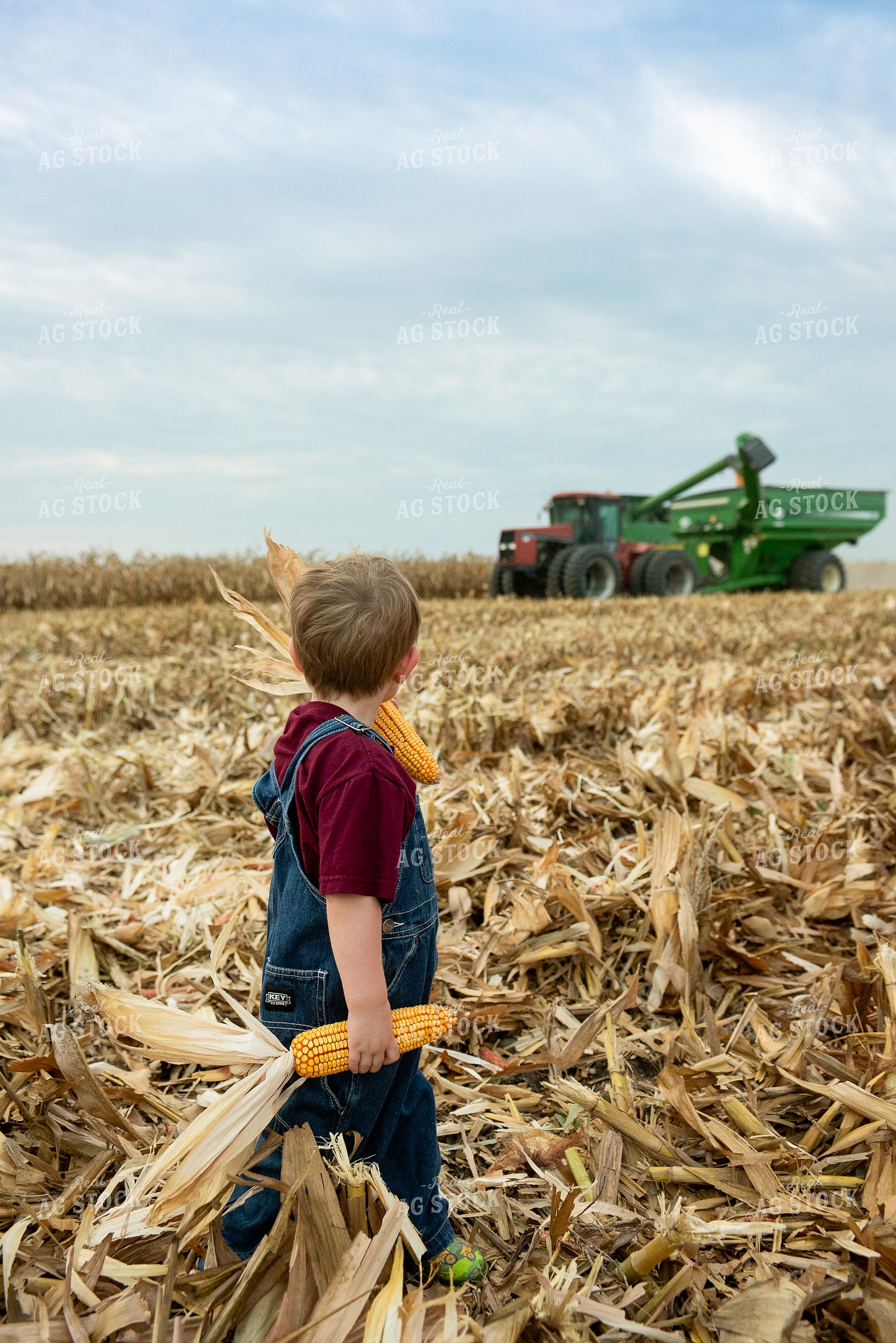 Kid in Field 129065