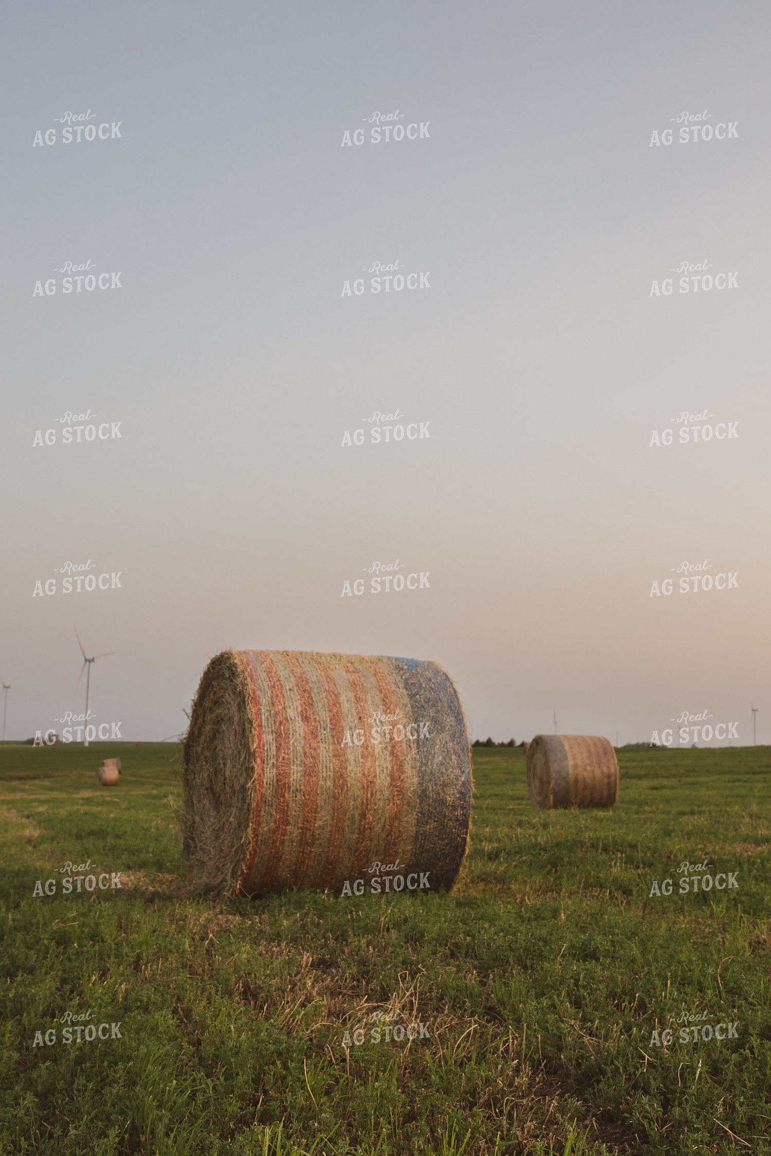 Round Bales 67823