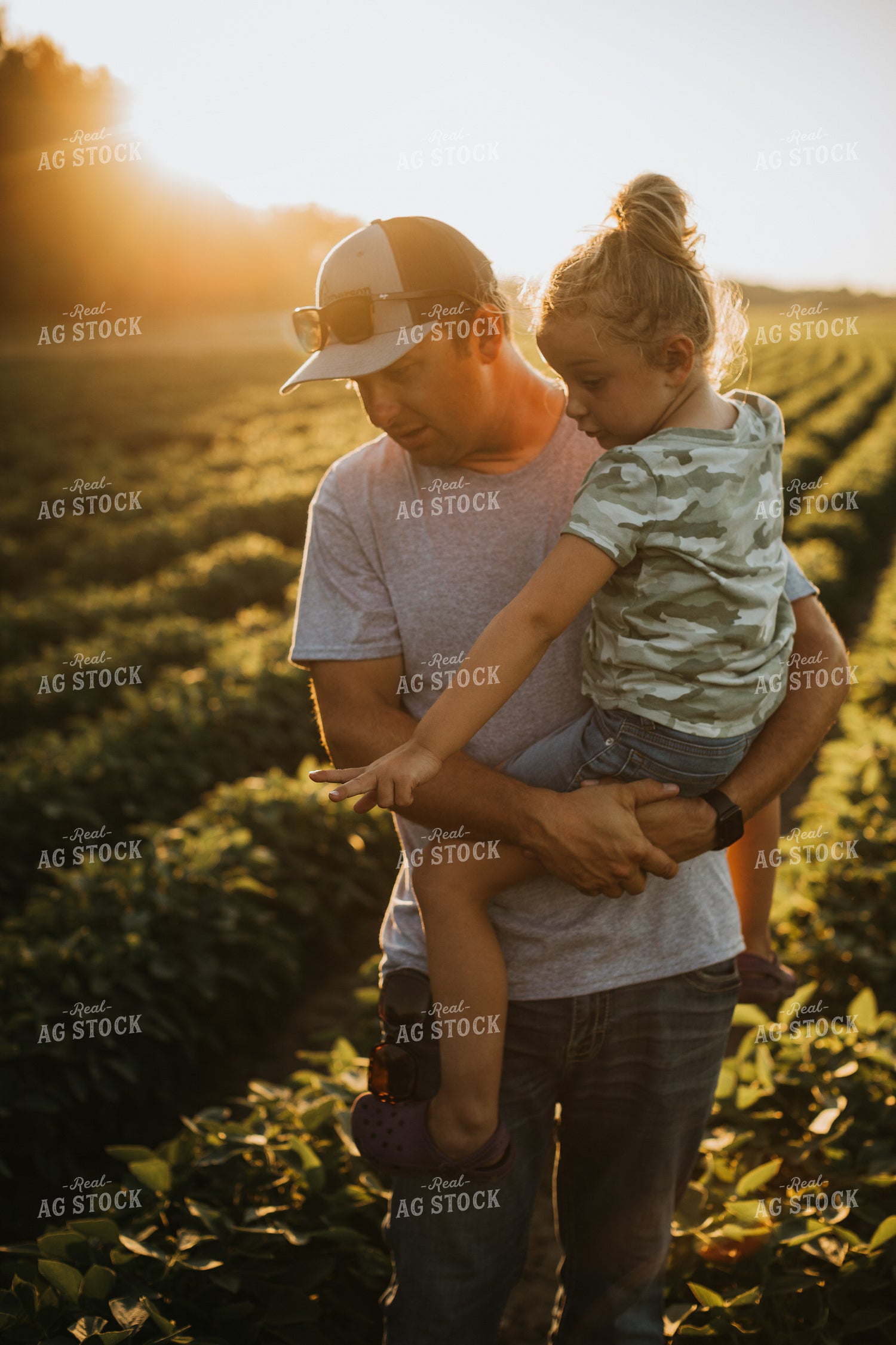Farm Family Scouting Soybean Field 6082