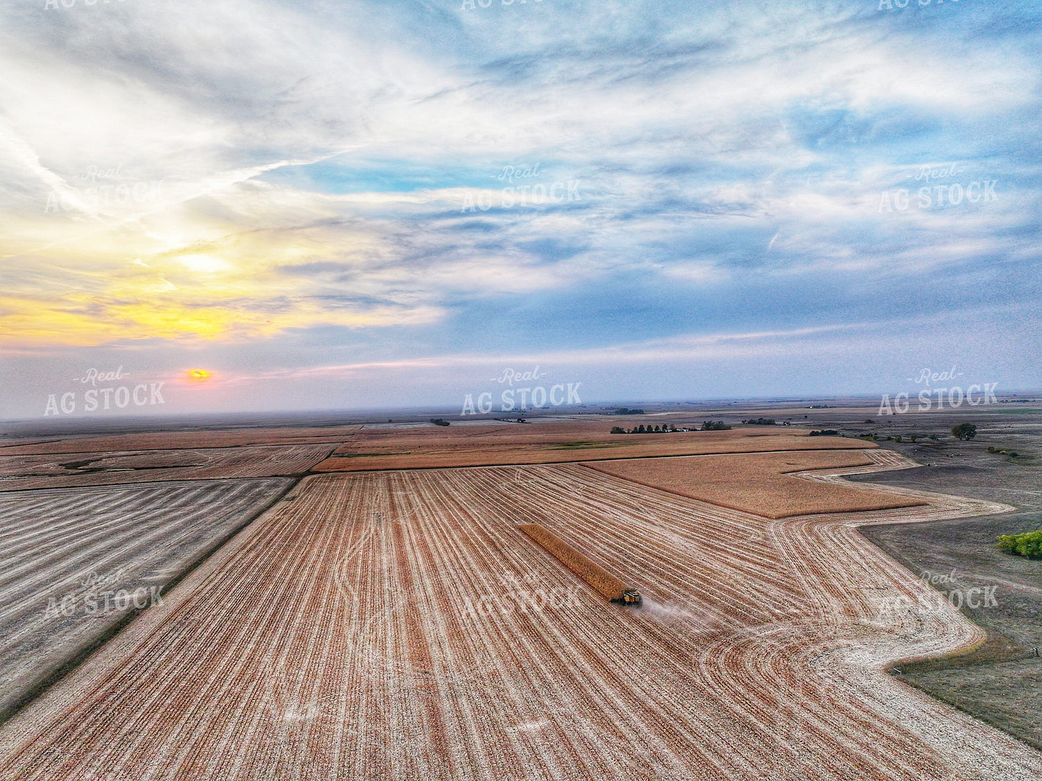 Aerial of Corn Harvest 141185
