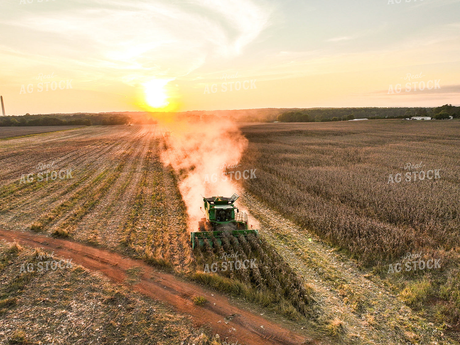 Aerial of Corn Harvest 128104
