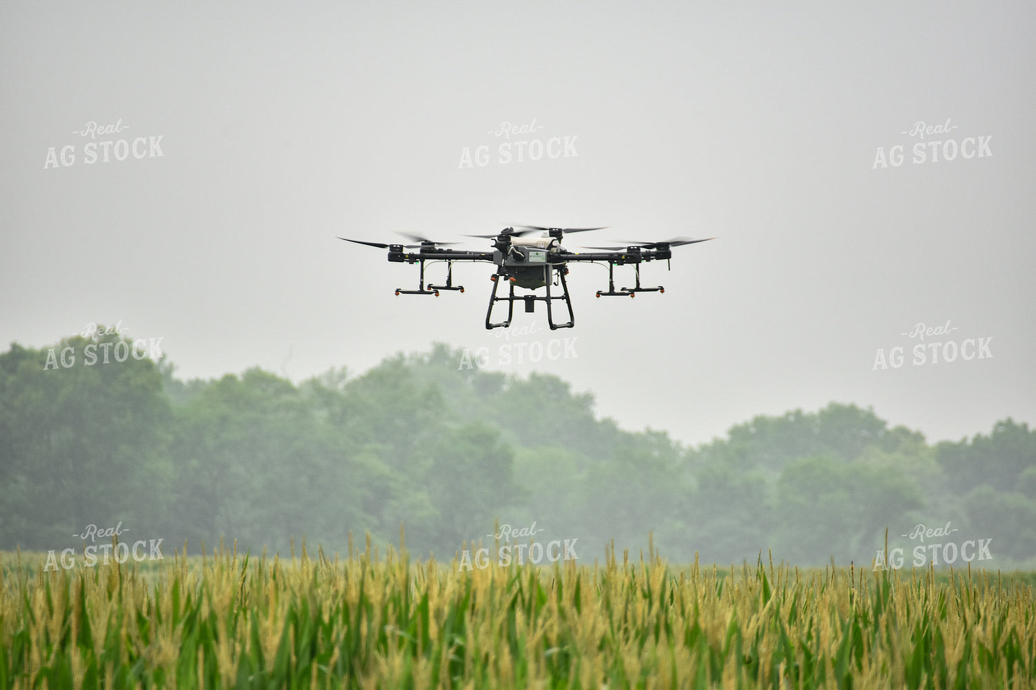 Drone Sprayer Above Corn 85021
