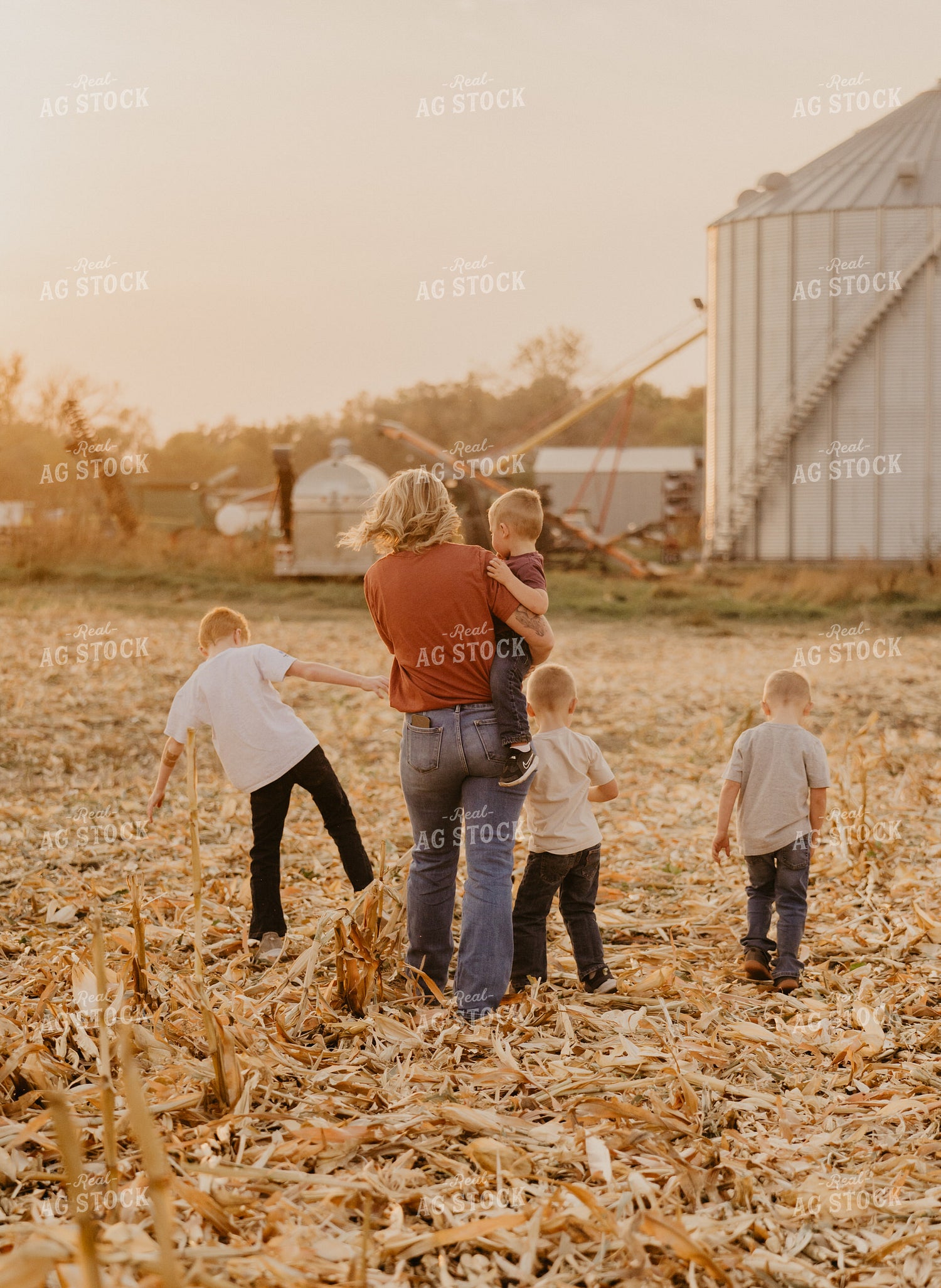 Farm Family Visit During Corn Harvest 185130