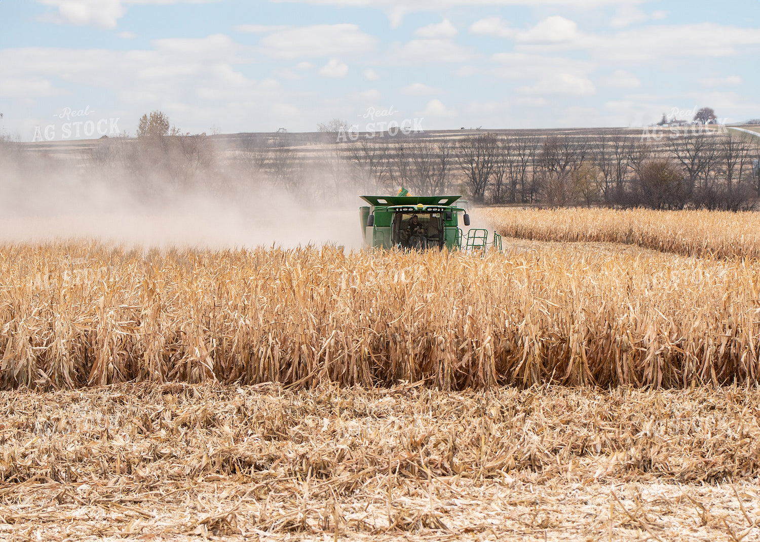Corn Harvest 193009