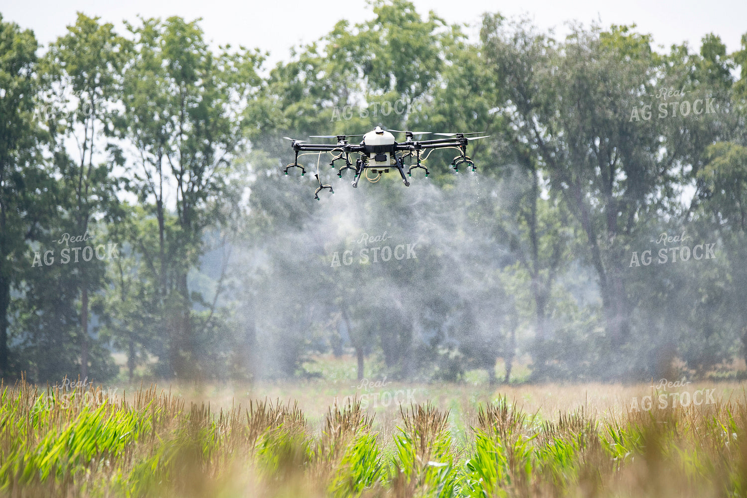 Drone Service Applying Fungicide 168069