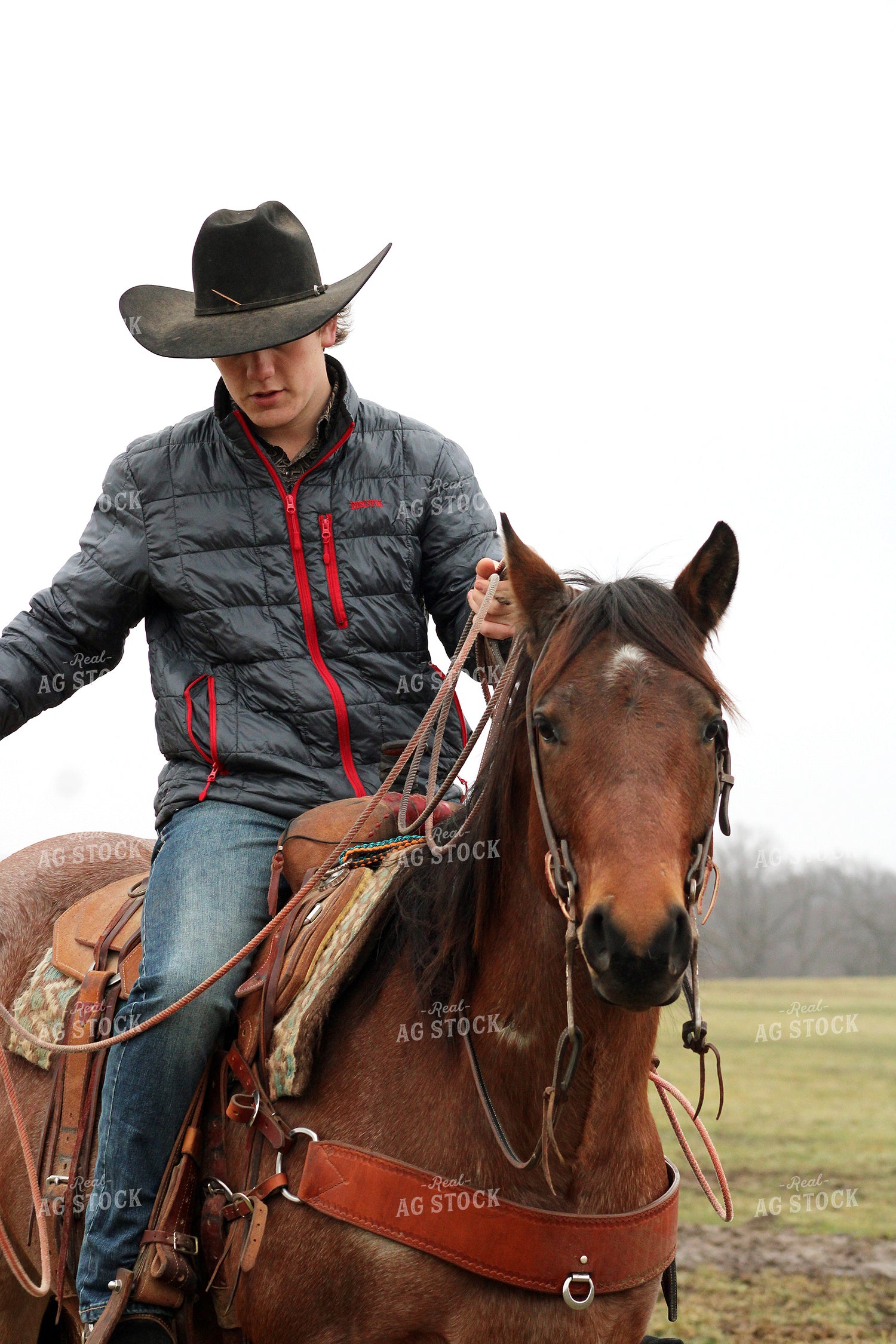 Rancher Roping 182006