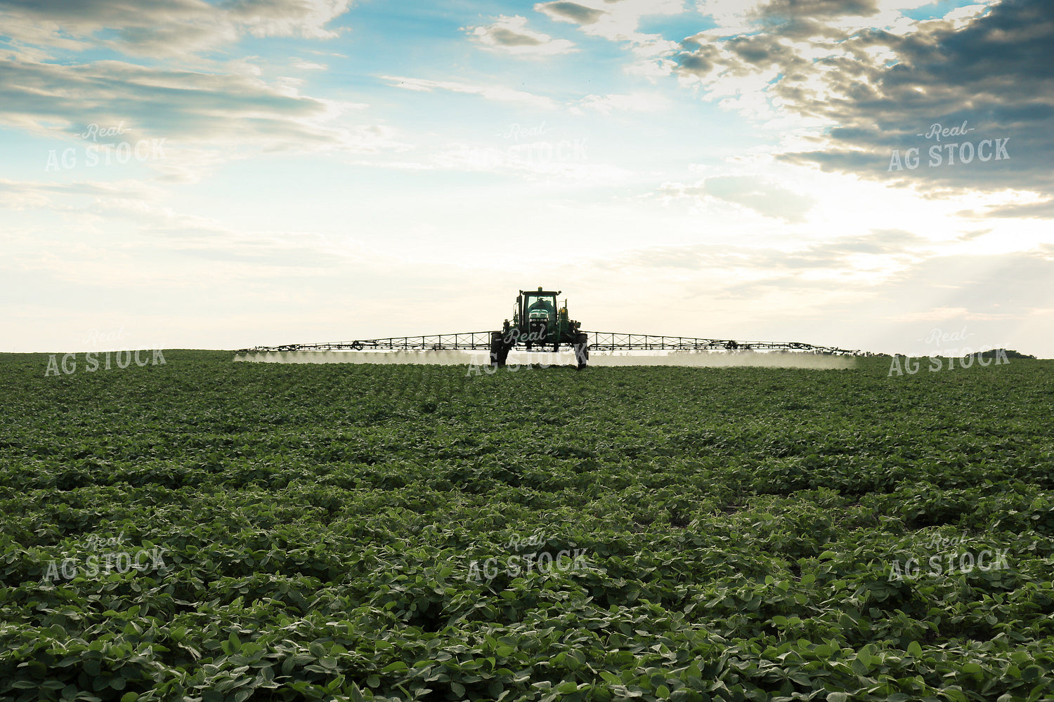 Spraying Soybeans 72002