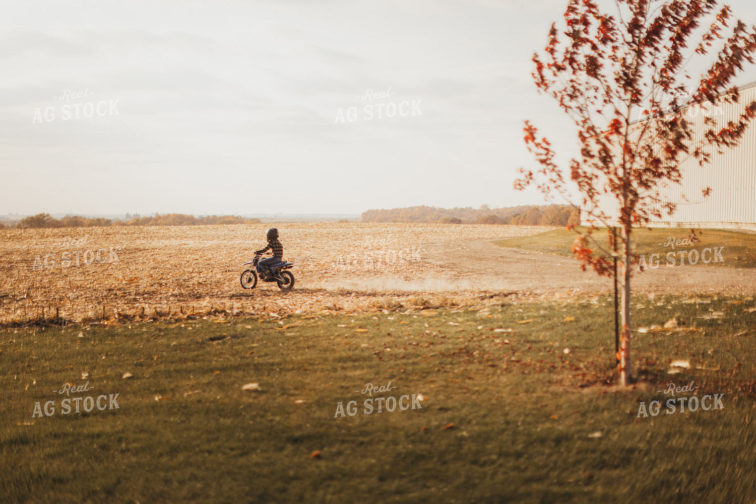 Farm Kid Playing Outside 9455