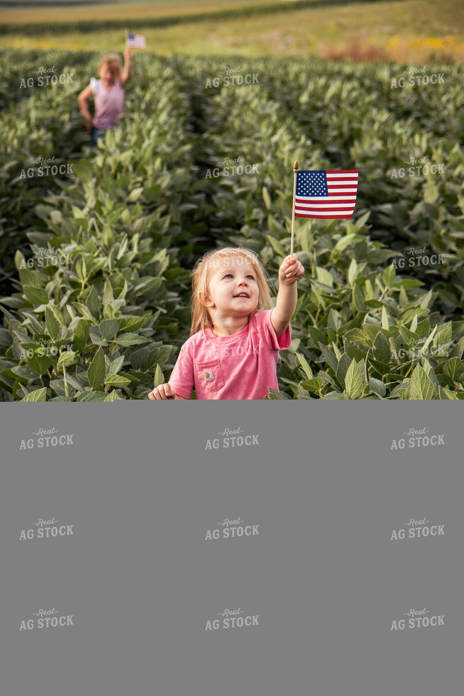 Farm Kids with American Flags in Soybean Field 67369