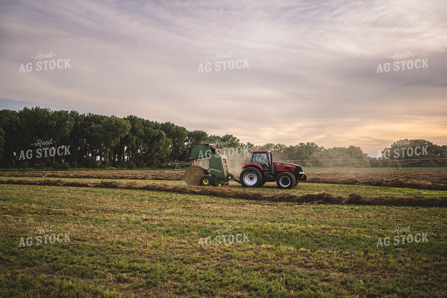 Baling Hay 196051