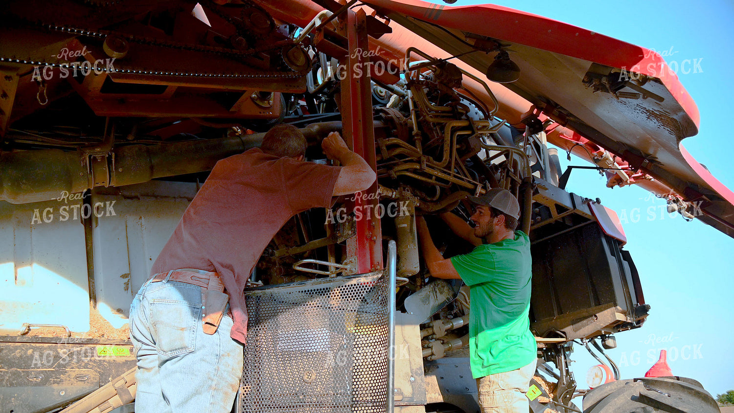 Multigenerational Farm Familiy Repairing Combine in a Bean Field 25510