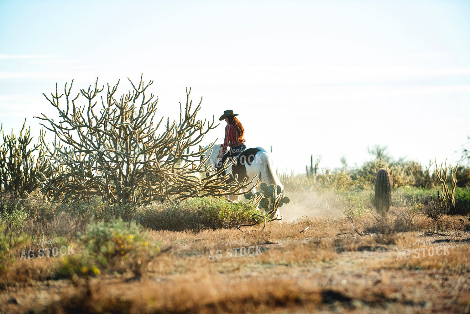Rancher on Horseback 69026