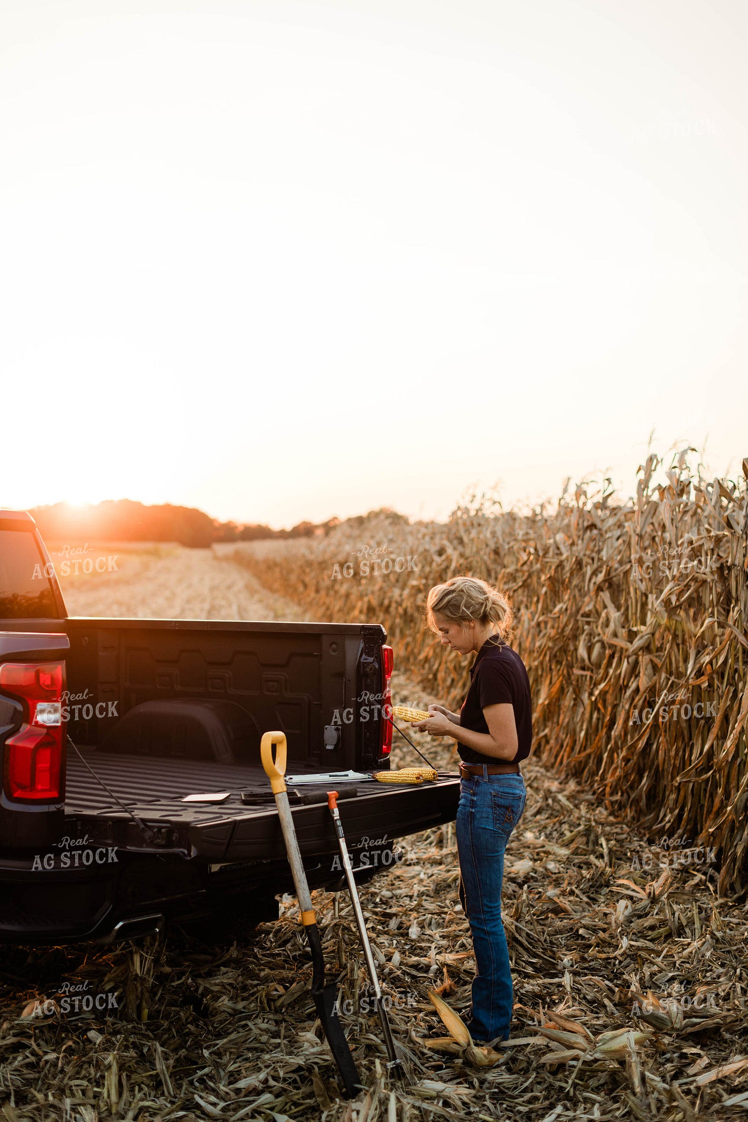 Female Agronomist Checking Corn 8345