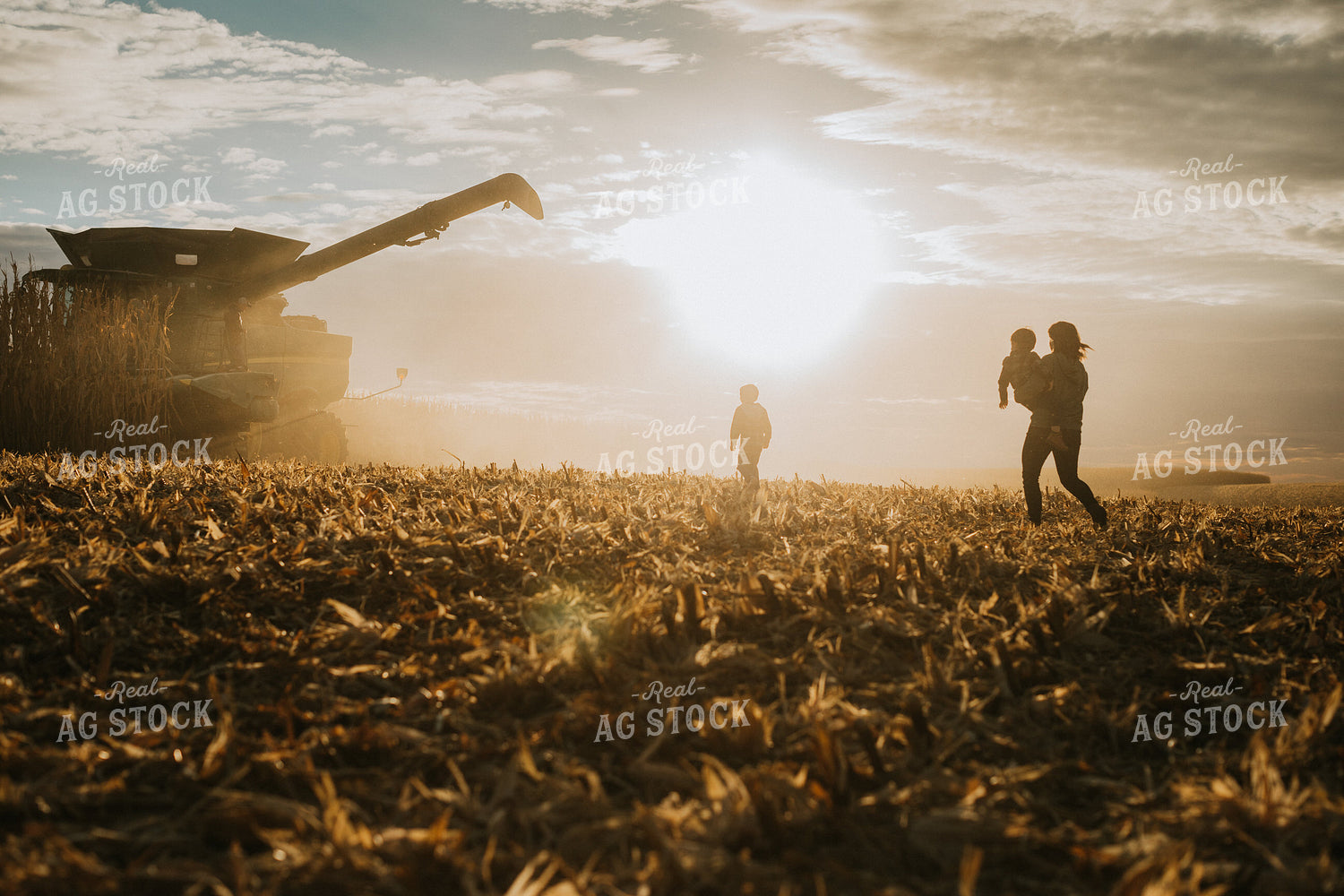 Farm Family in Corn Field 6950