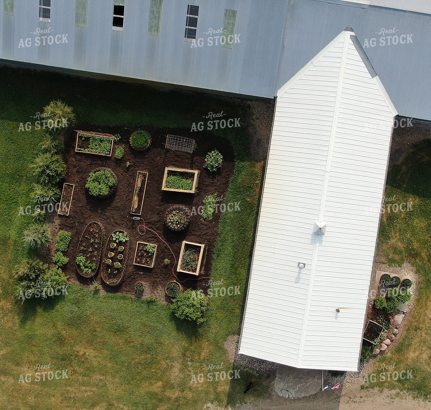 Garden by Barn 141008