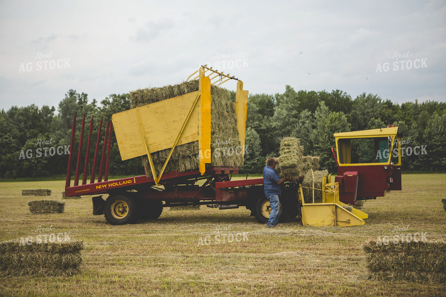 Putting up Hay 169011