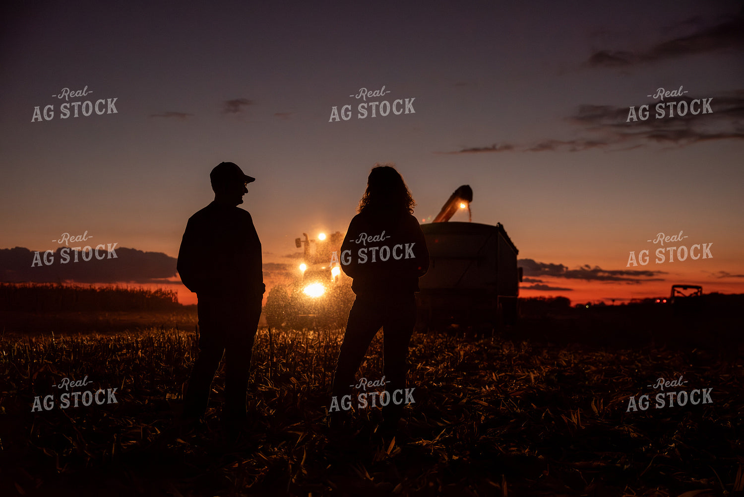 Farm Family in Field 76553