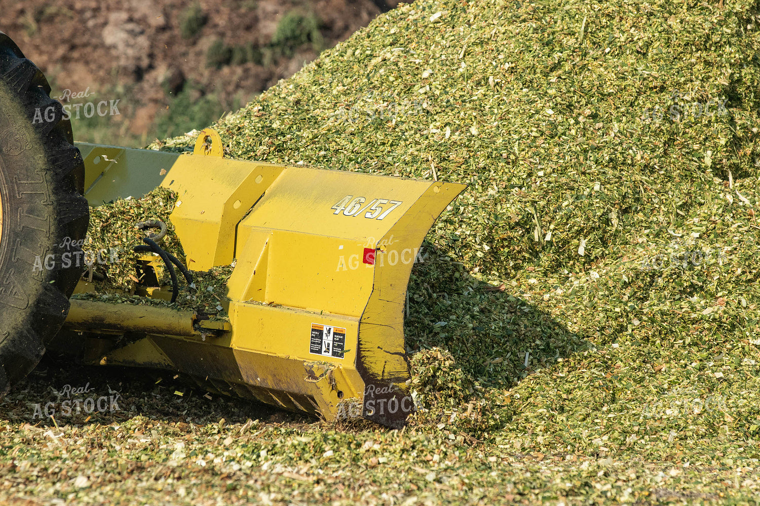 Spreading Silage 72107