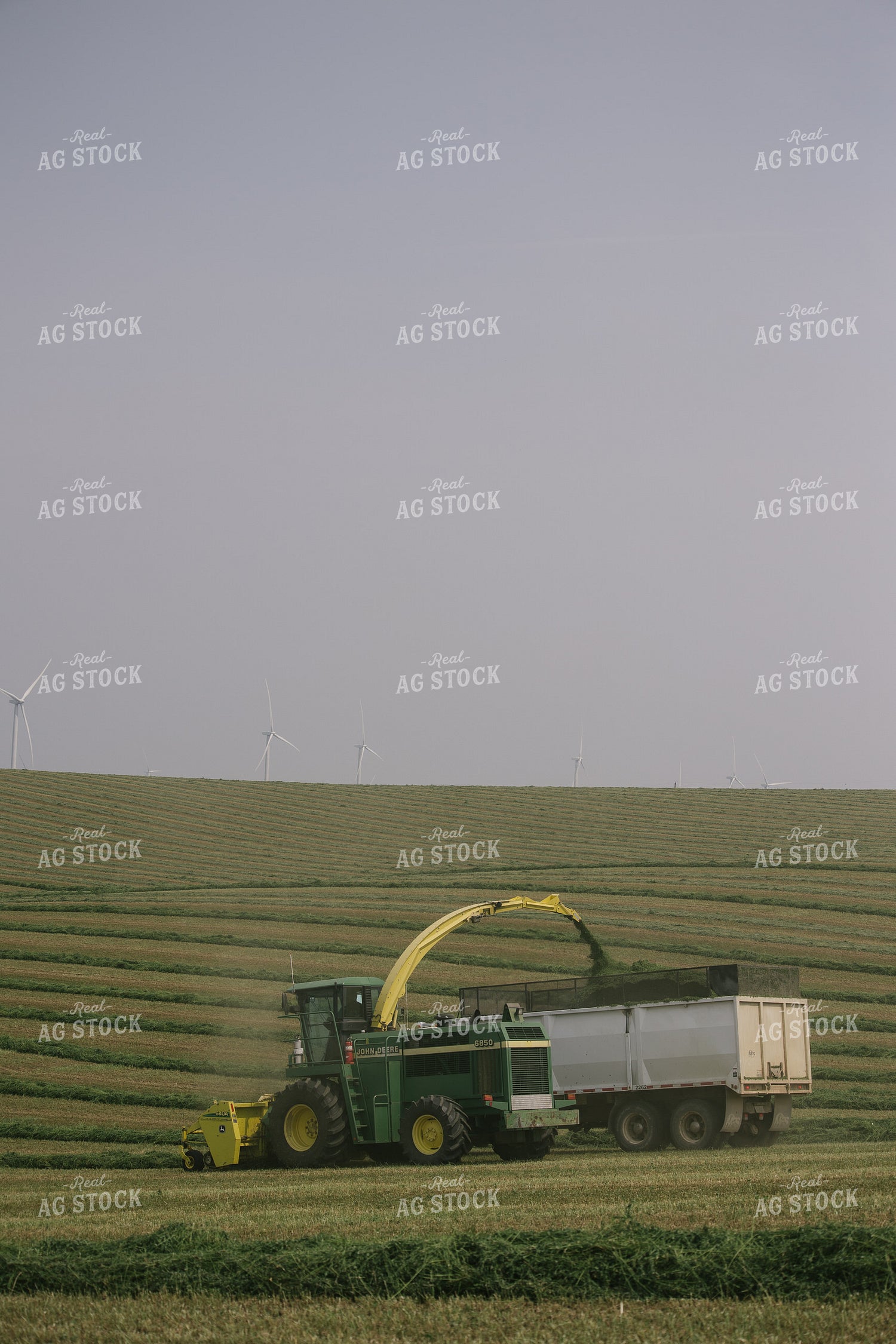 Harvesting Hay Silage 70083