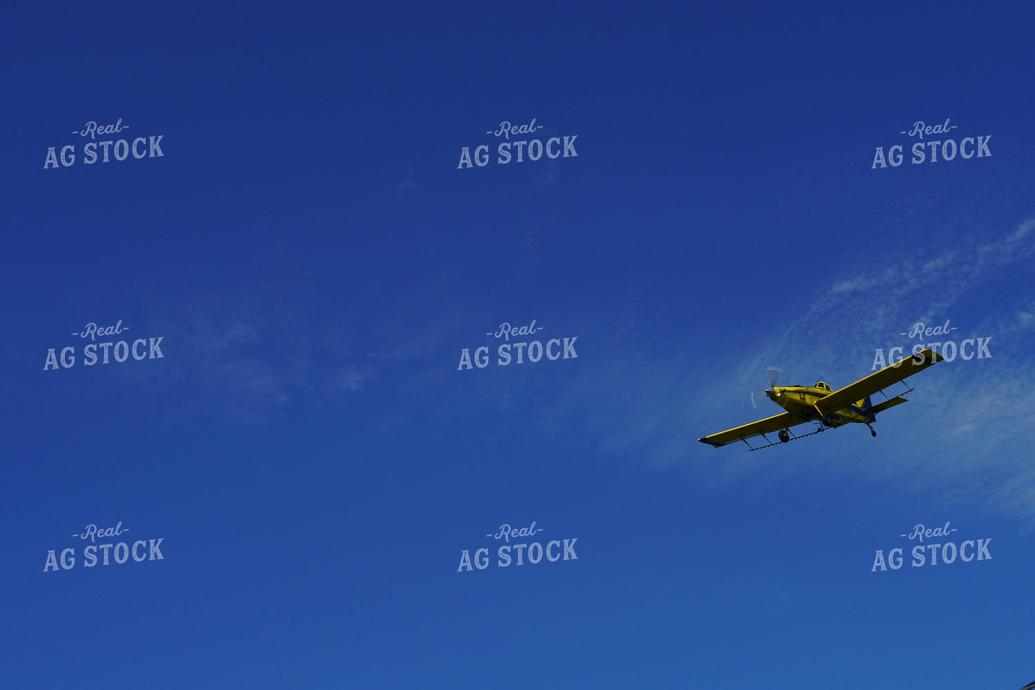 Crop Duster Blue Sky 65000