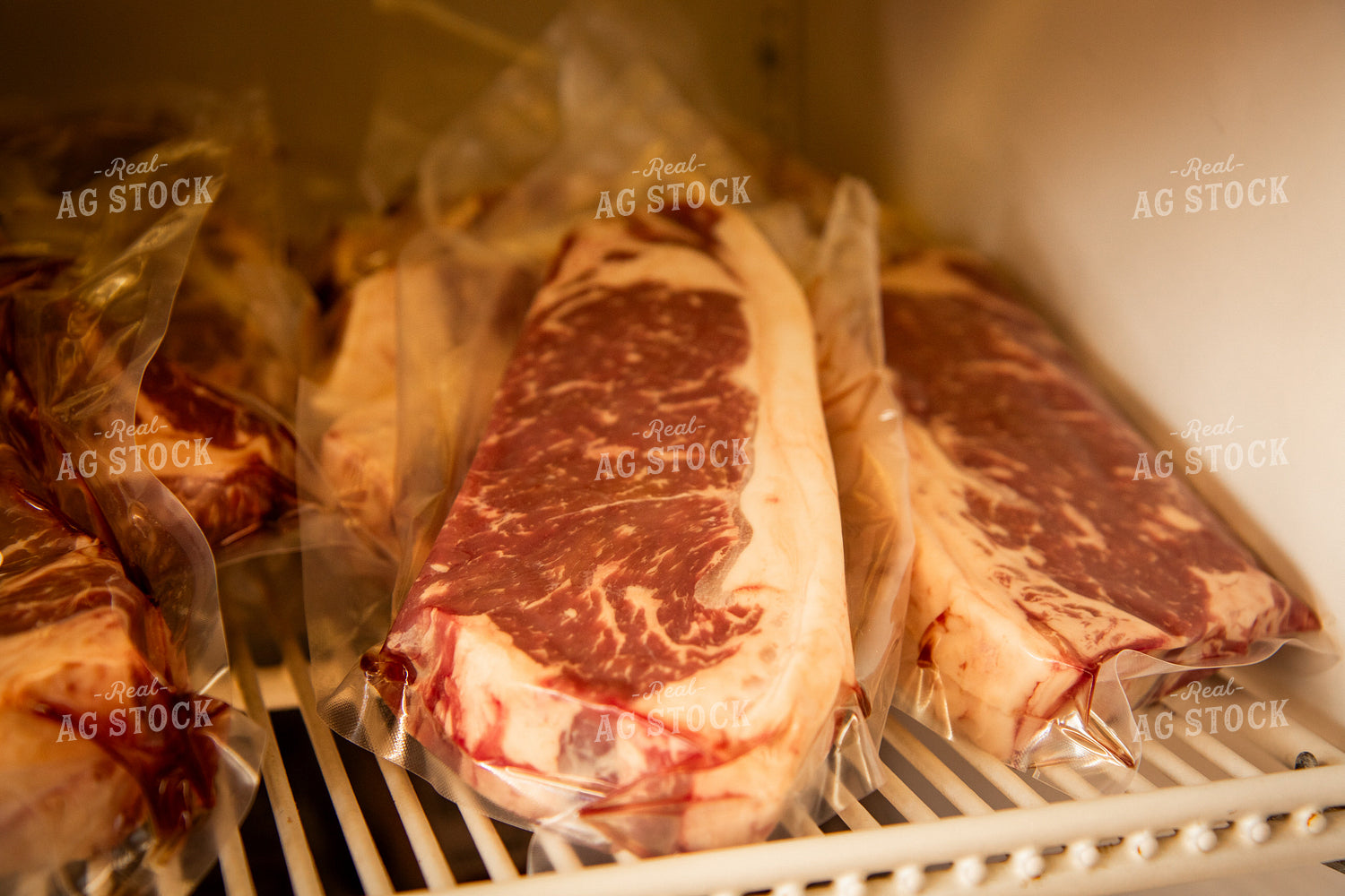 Steaks 67495