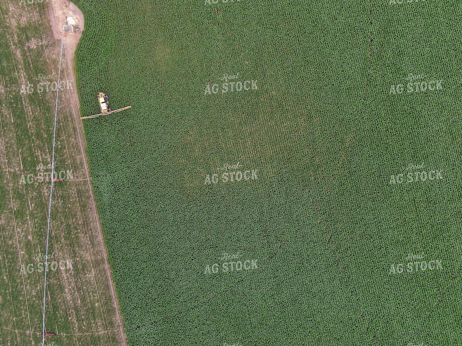Spraying Corn Field 141017