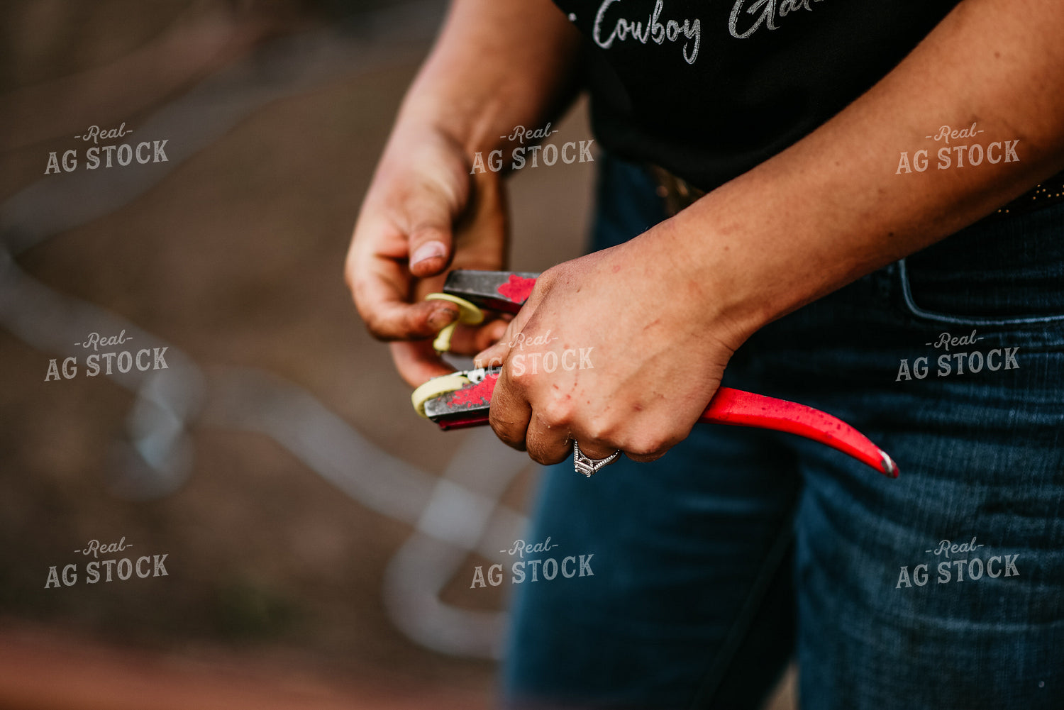 Rancher with Electric Fence Insulators 64298