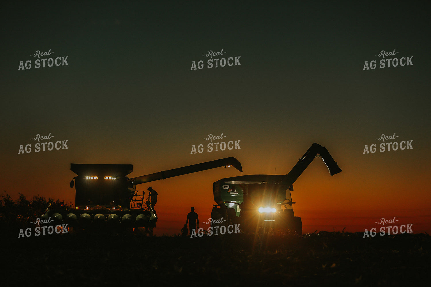 Family by Combine and Auger Cart at Sunset 5260