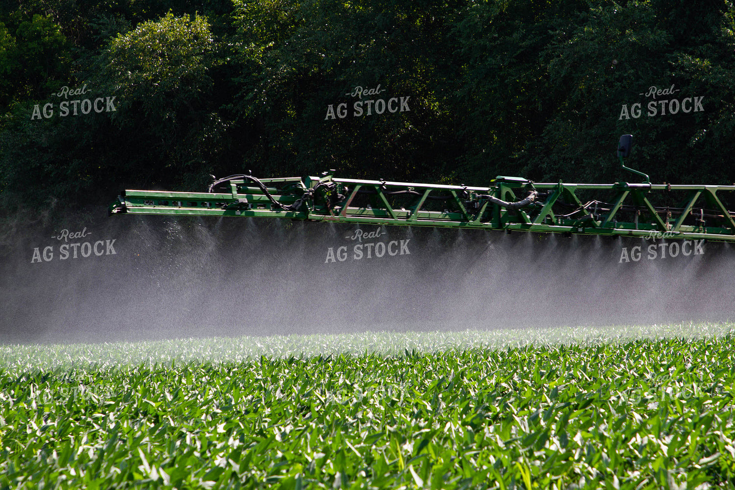 Spraying Soybeans 79124