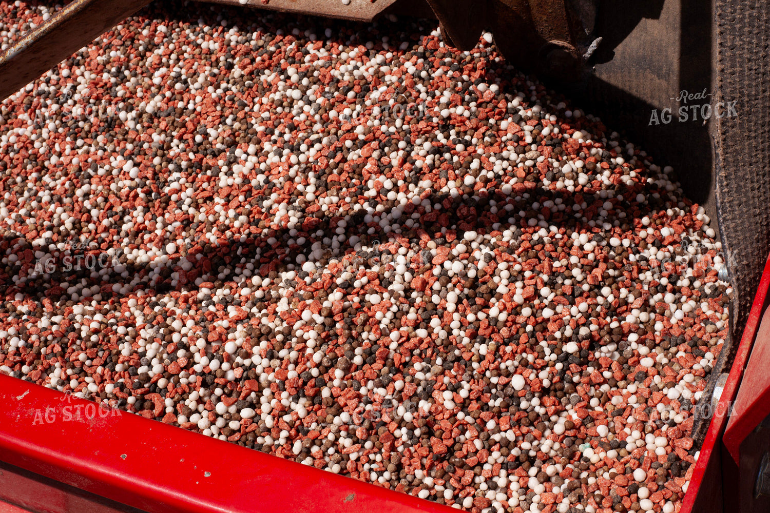 Winter Wheat Seed in Planter Box 132061