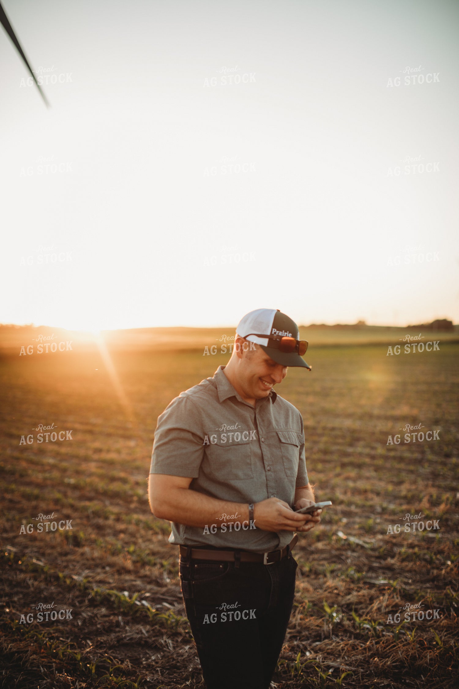 Farmer Agronomist Talking on Phone in Corn and Triticale Cover Crop Field 5921