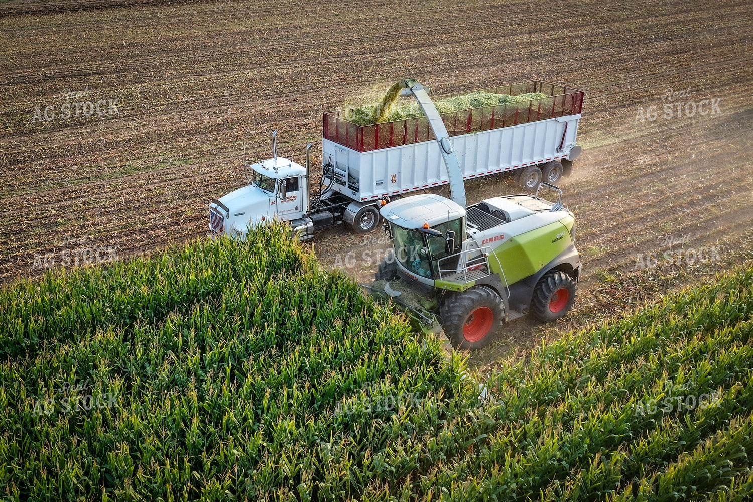 Silage Harvest Drone 56205