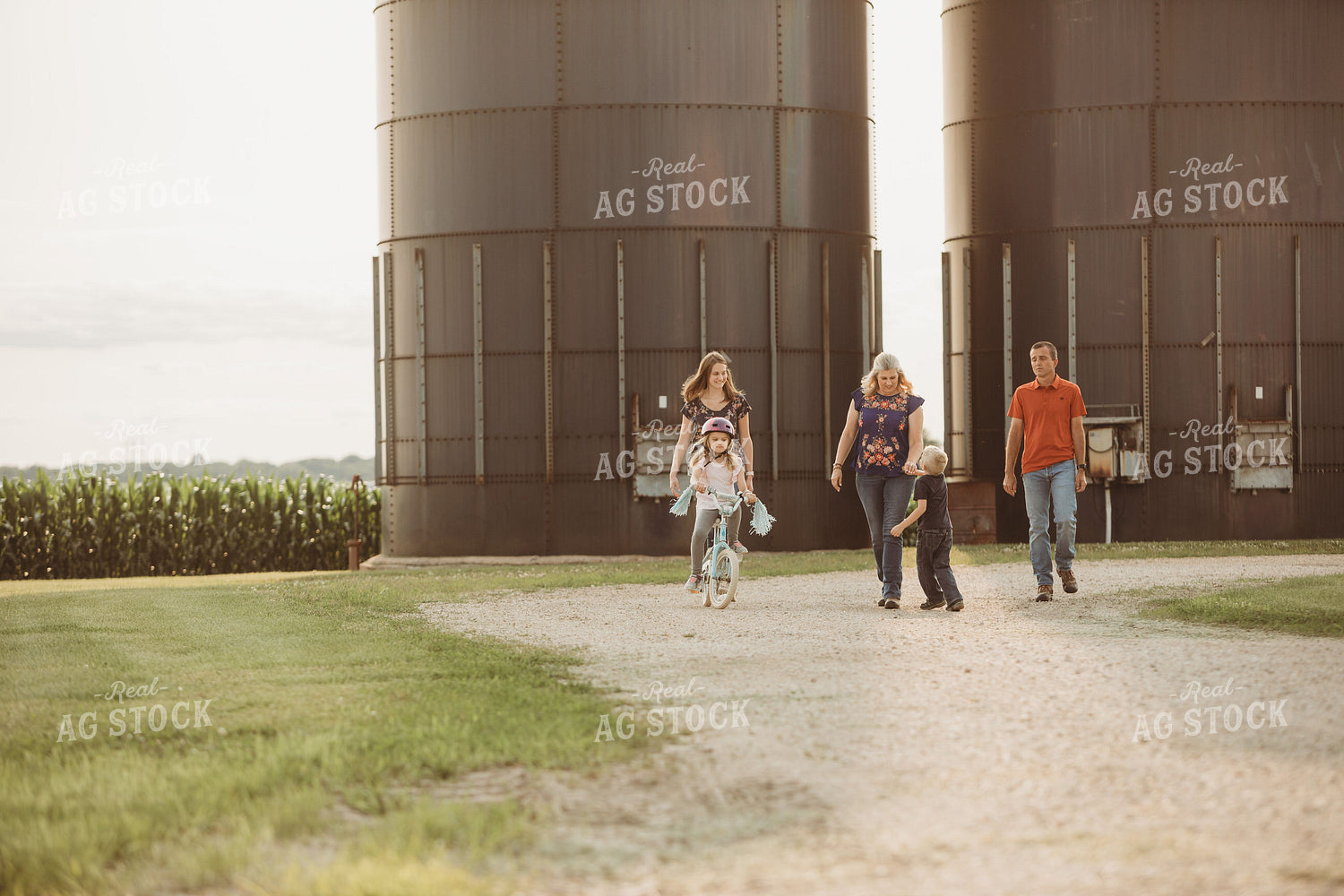 Farm Family Walking Along Corn Field 4477