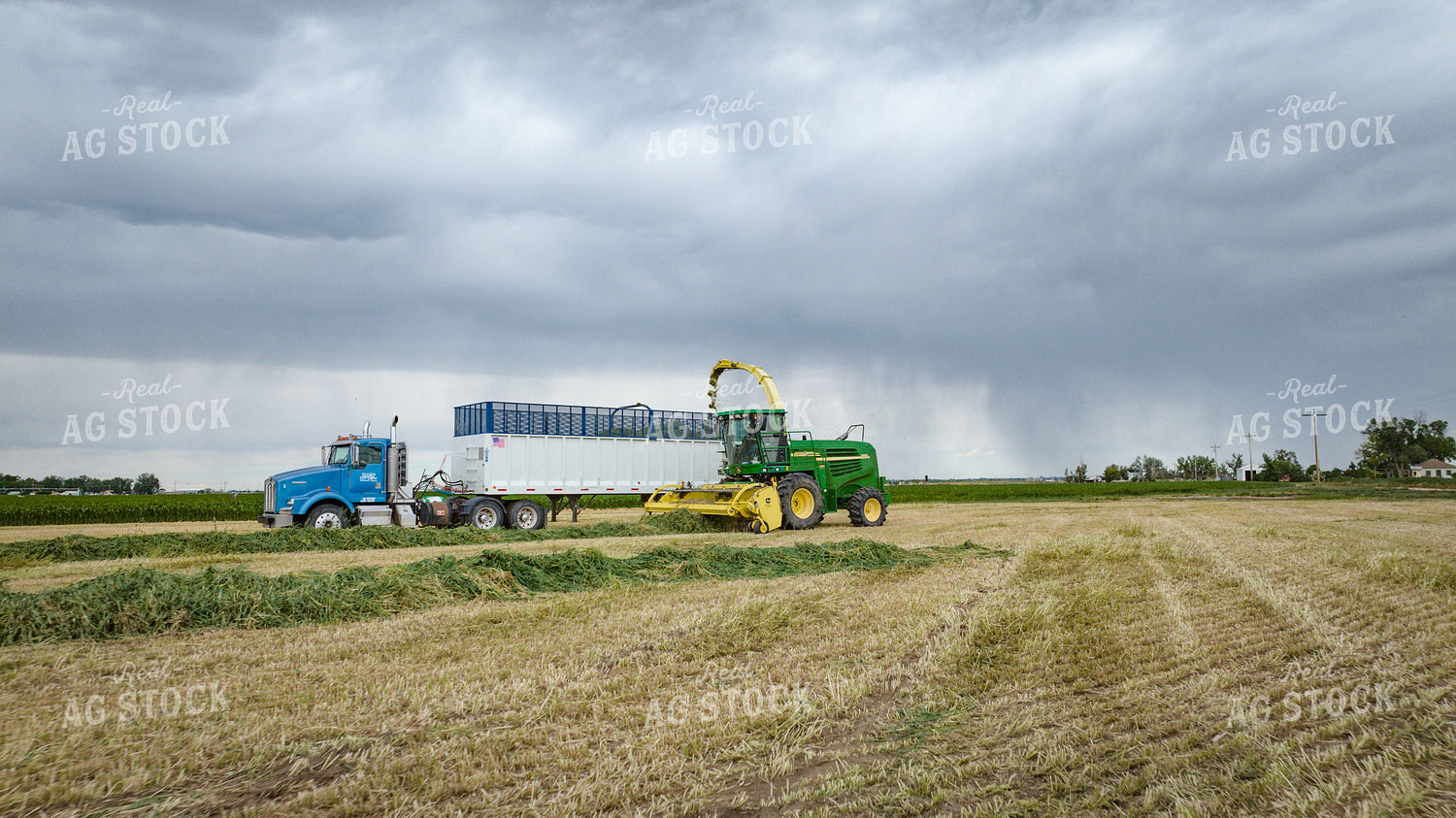 Making Haylage 56420