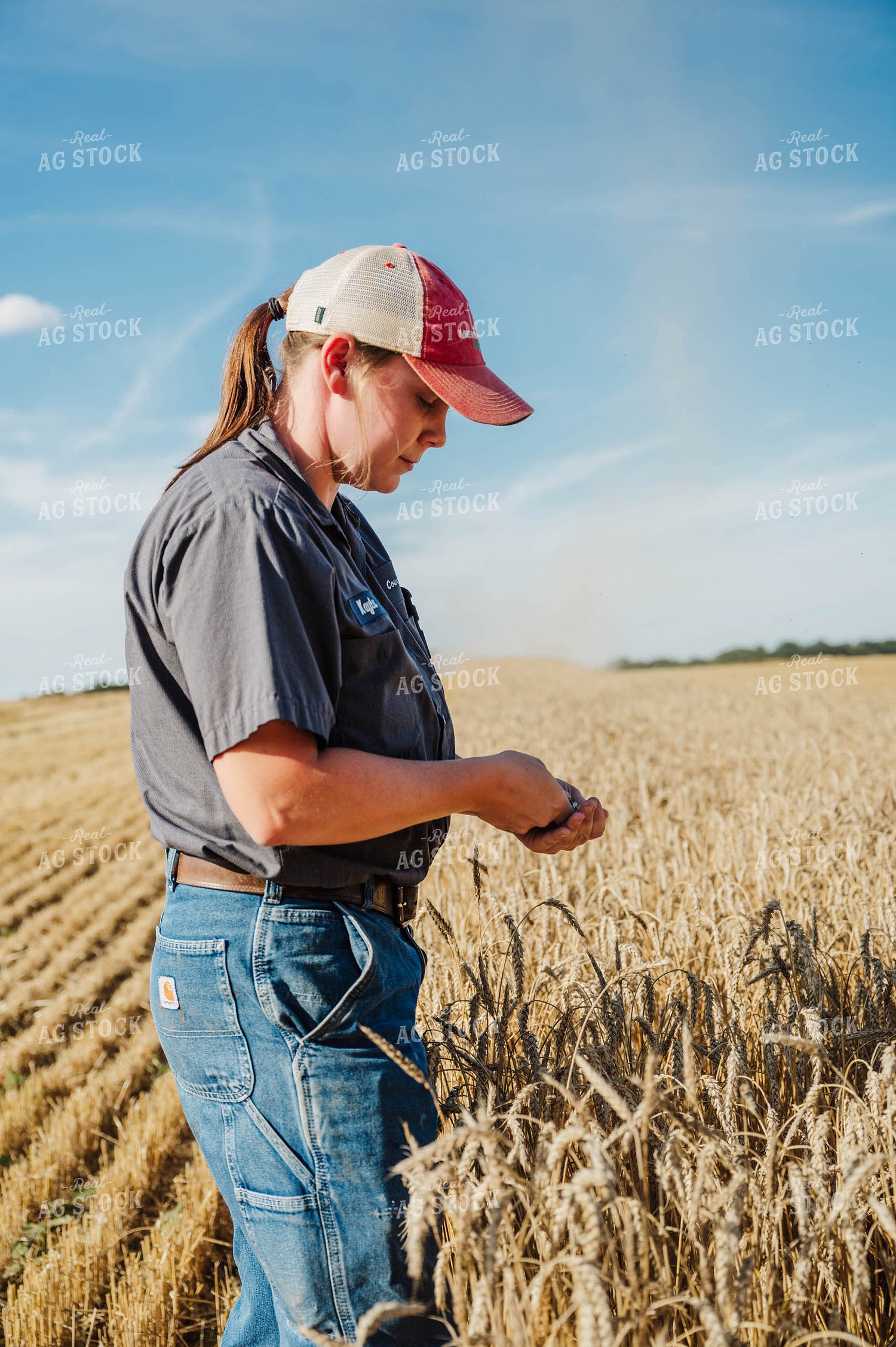 Female Farmer Sampling Wheat 115231
