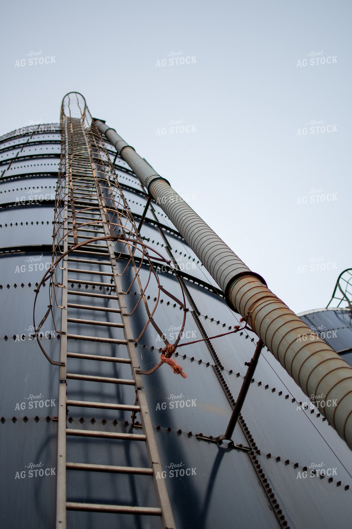 Ladder on Silo 50322