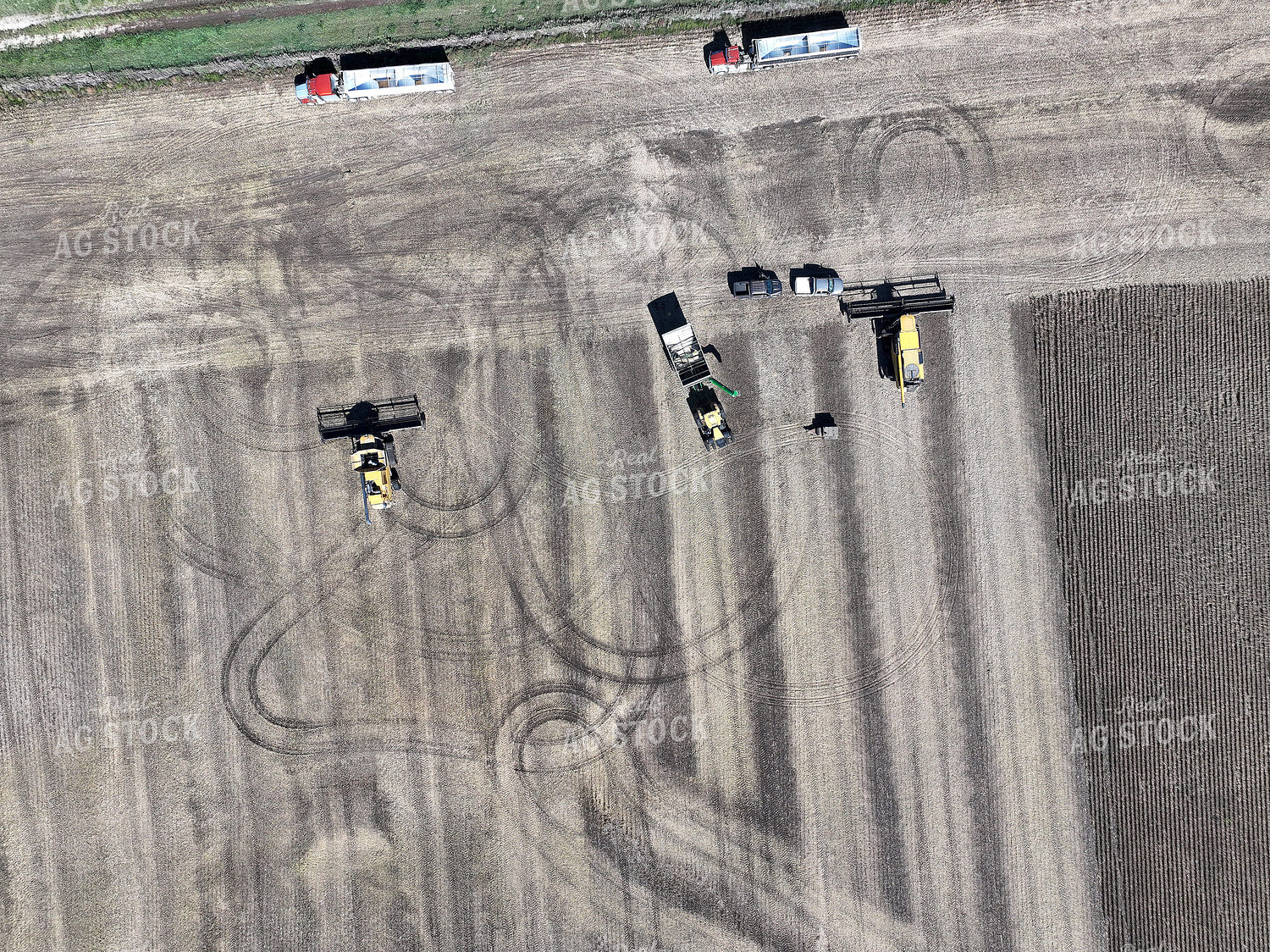 Aerial of Corn Harvest 141058