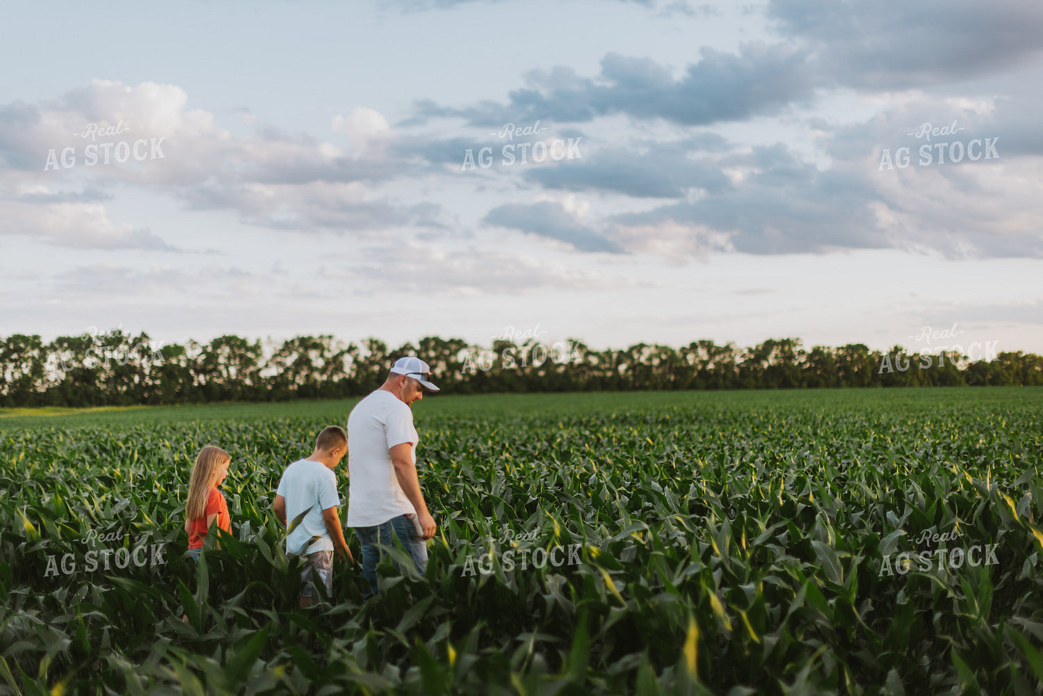 Farmer and Kids Checking Corn 8781