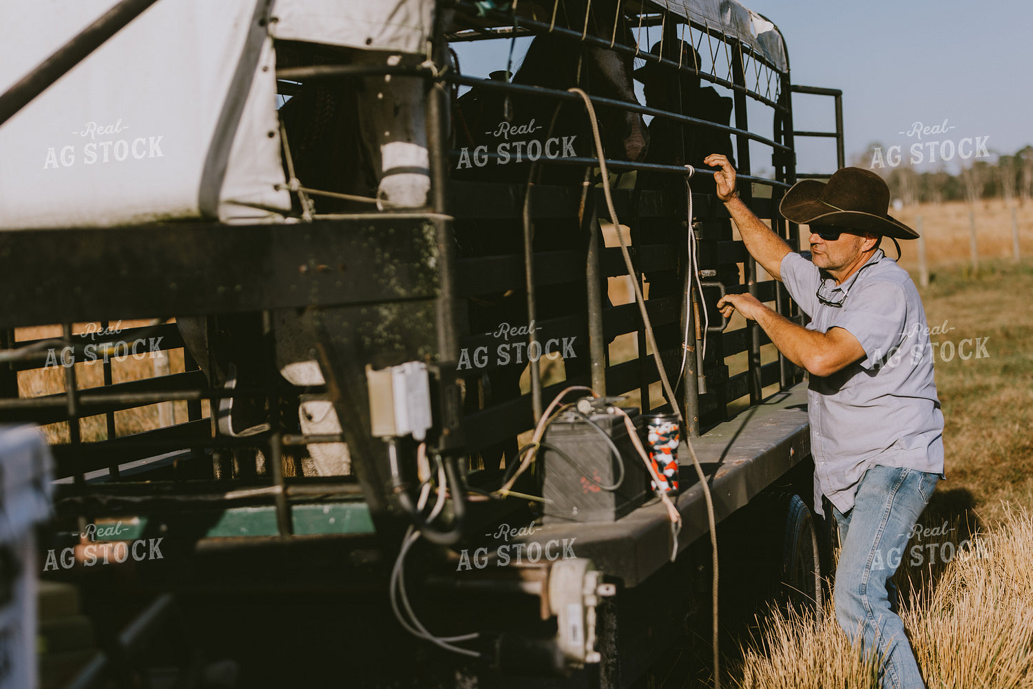 Rancher and Horse Trailer 7301
