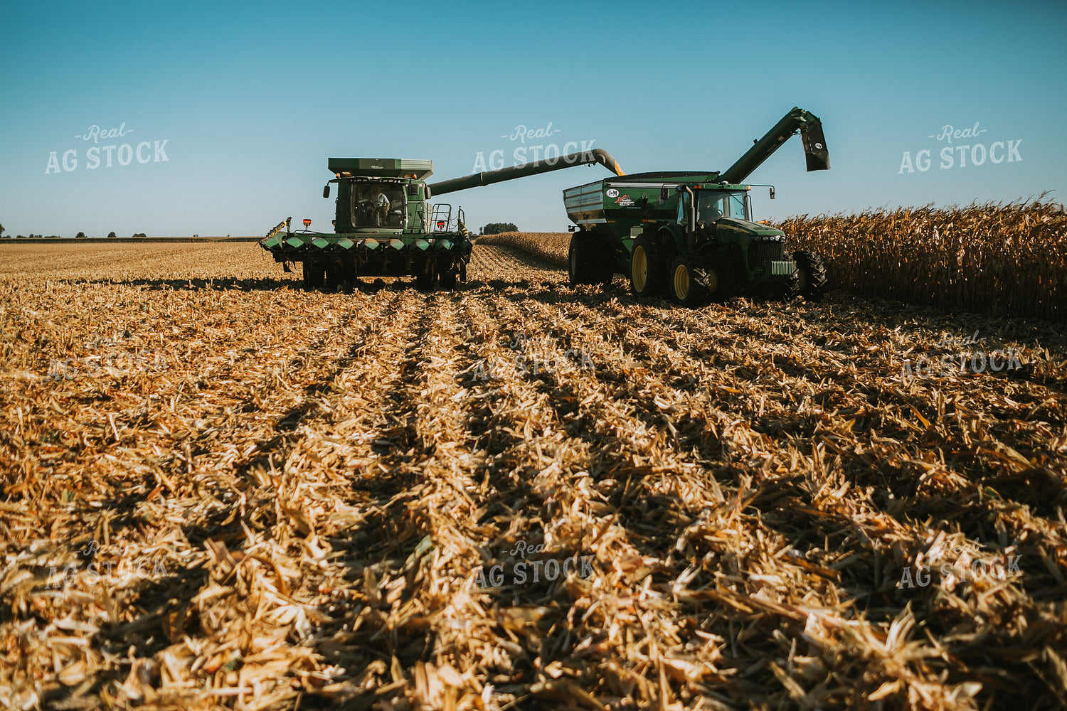 Combine Unloading Corn into Grain Cart 4673