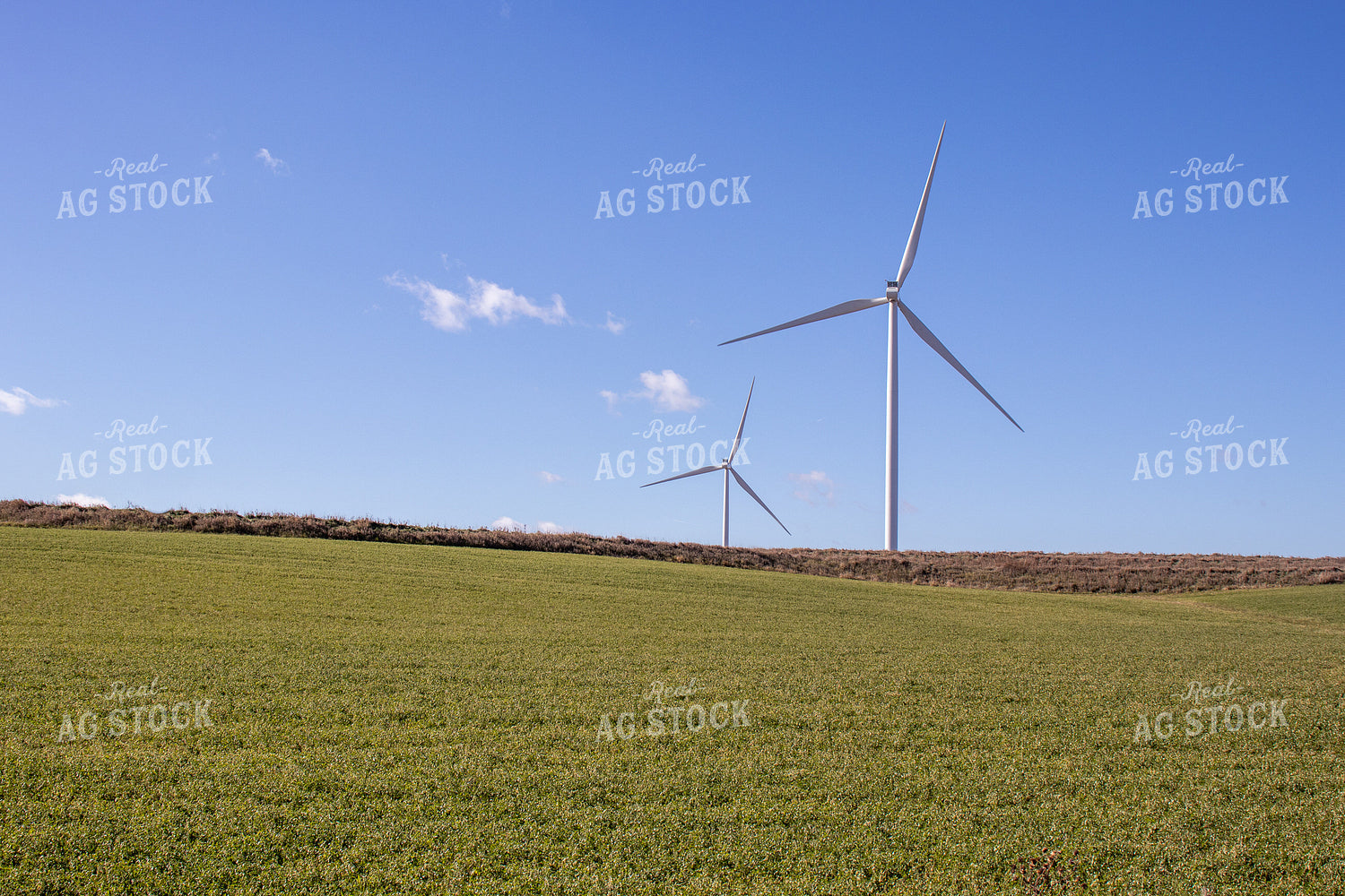 Windmills and Hay Field 67038