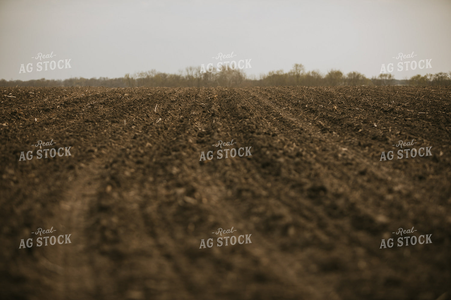 Just Planted Soil in Field 5464