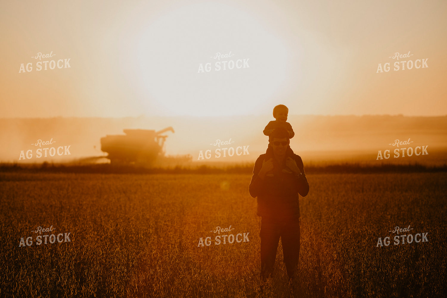 Harvest 2591