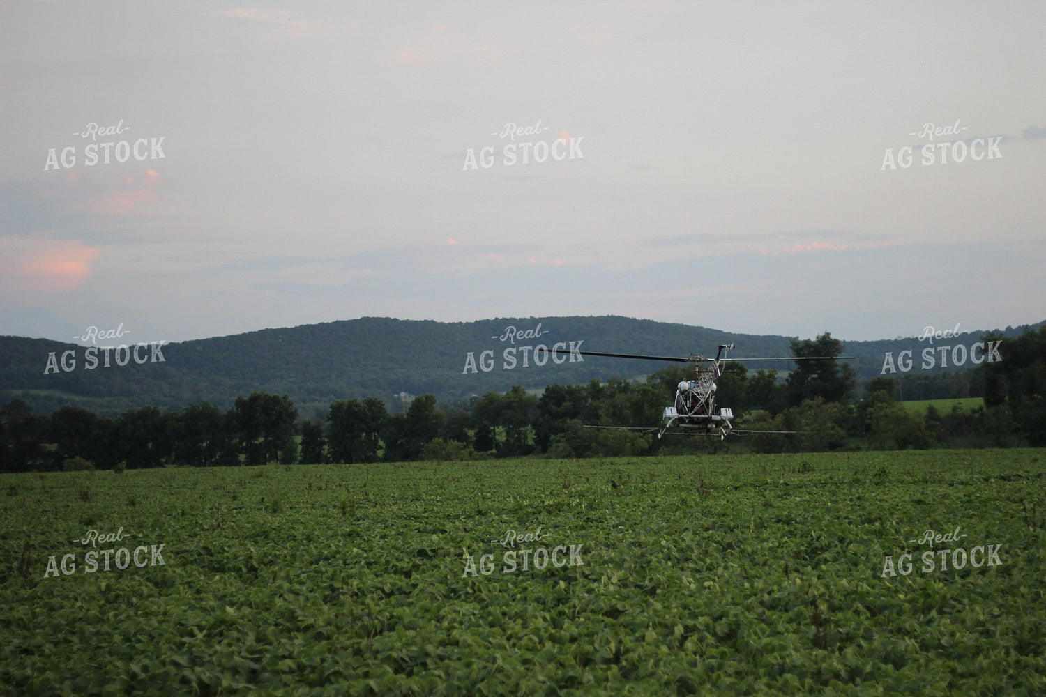 Helicopter Crop Duster 73065