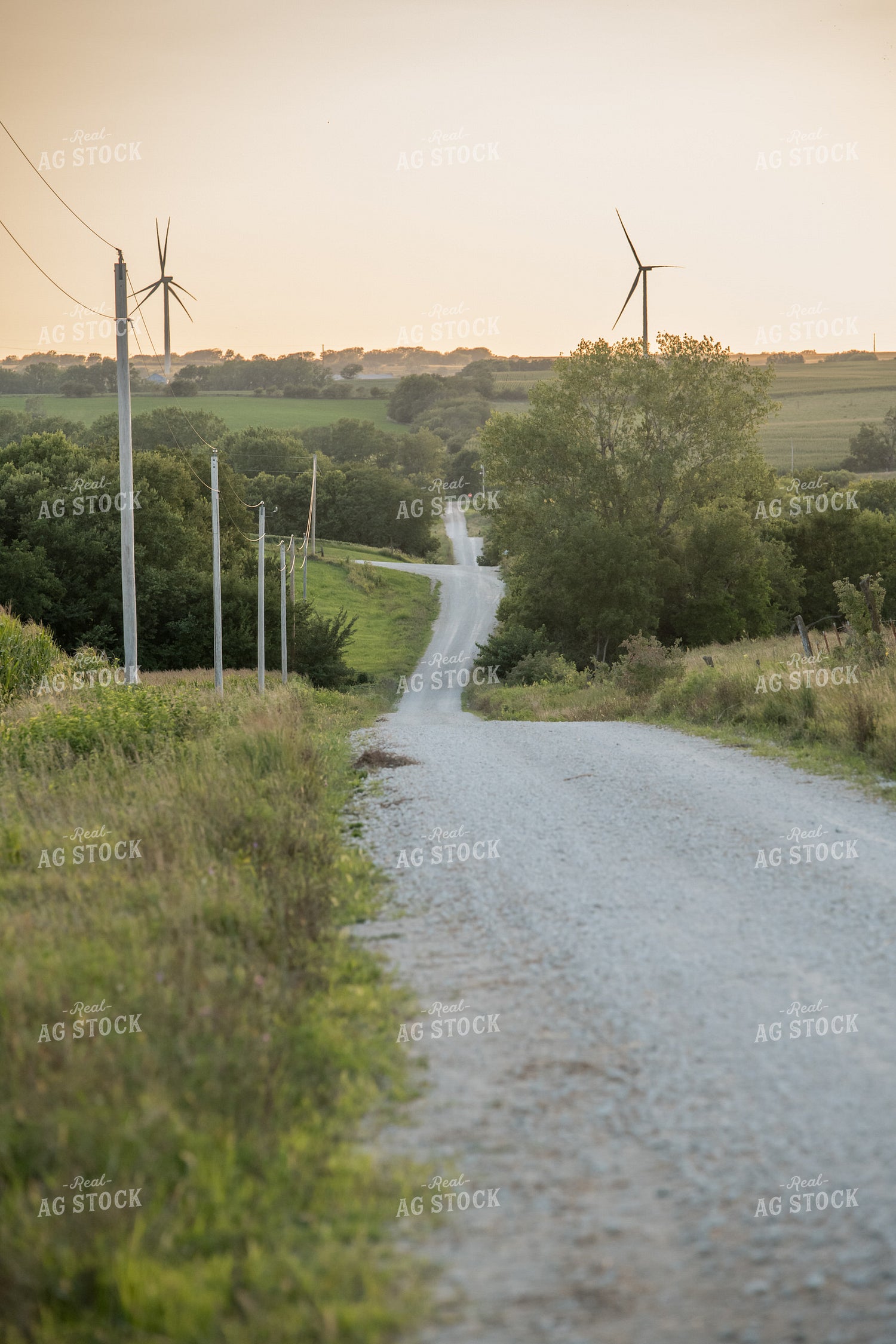 Country Road 76473