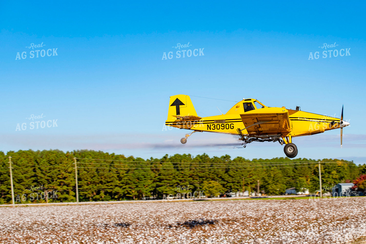 Crop Duster Spraying Cotton Field 136268
