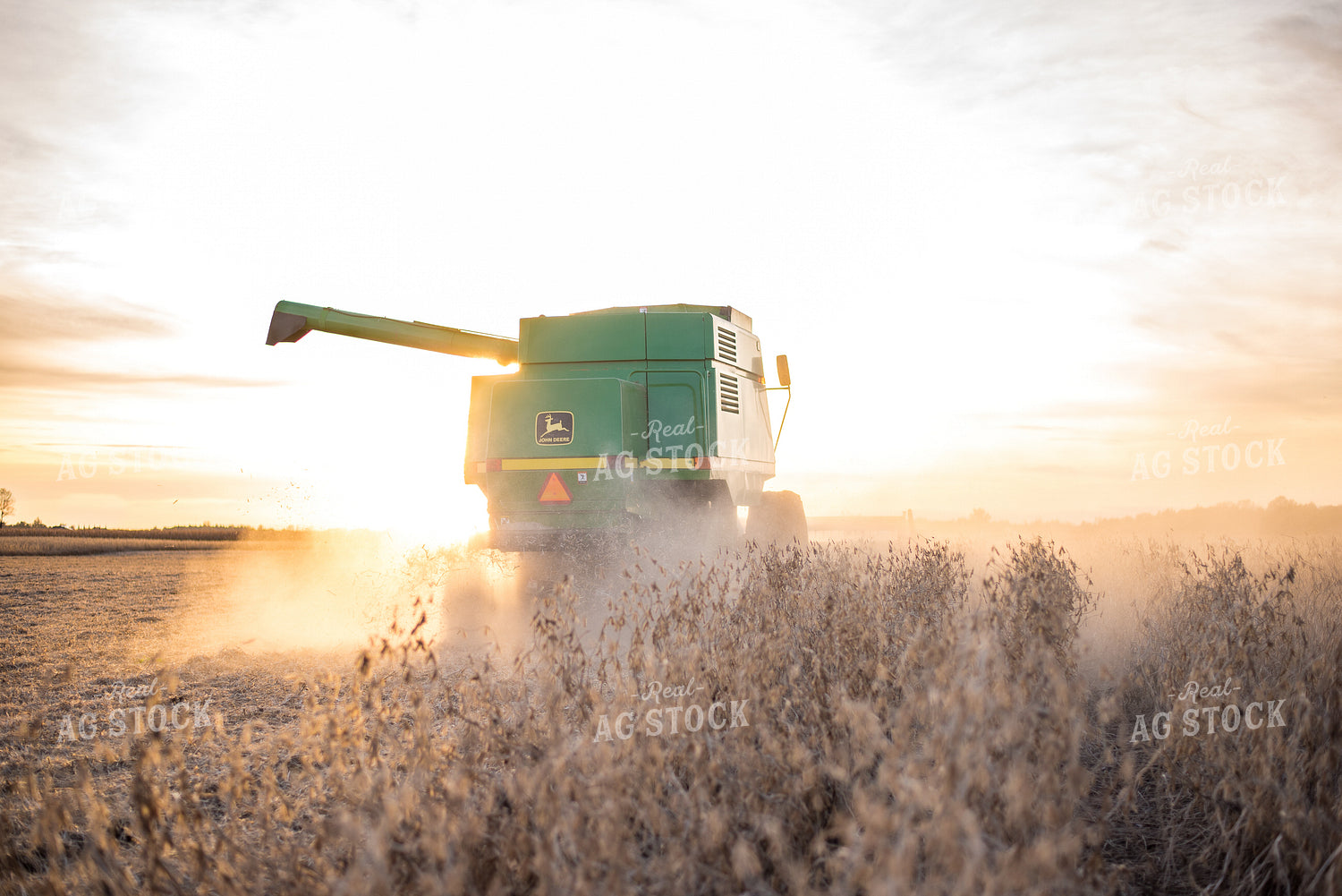 Combining Soybeans 74050