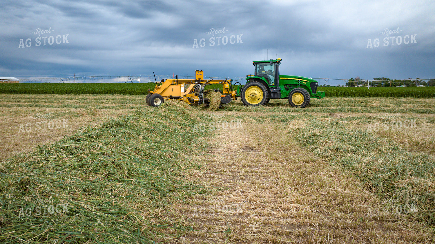 Tractor with Merger in Hay Field 56411