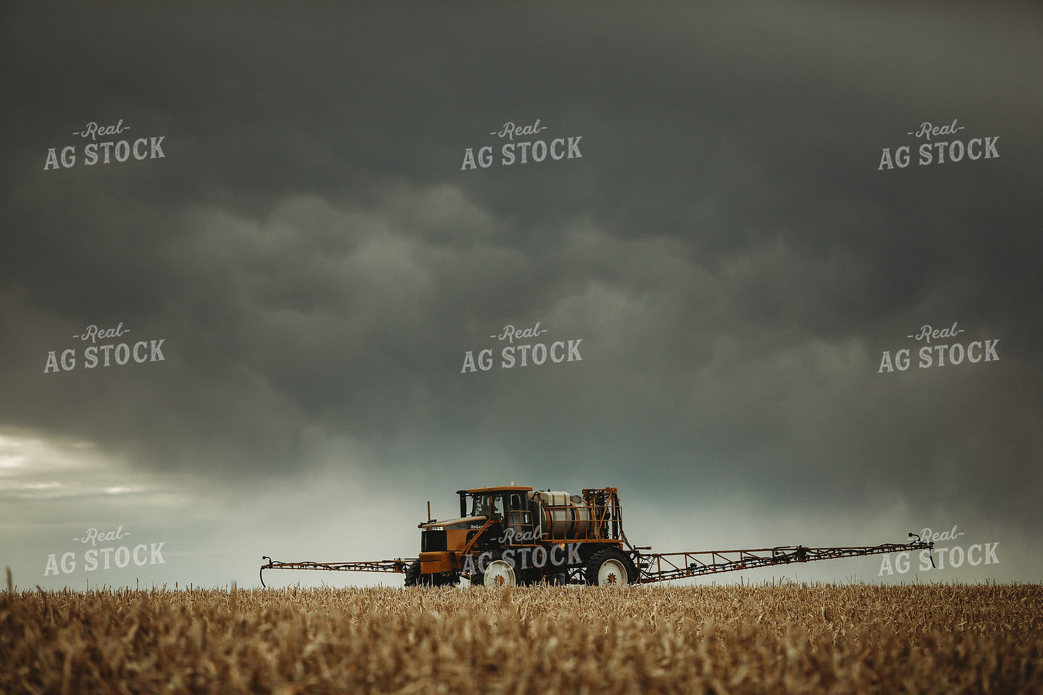 Self Propelled Sprayer Spraying in Corn Field 3660